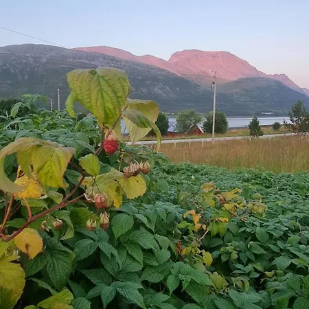 Apartment Paradis Nord-Lenangen