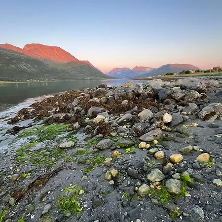 Paradis Apartment Nord-Lenangen
