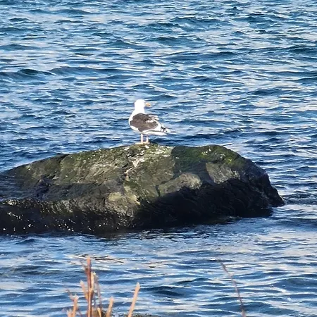 Apartment Paradis Nord-Lenangen