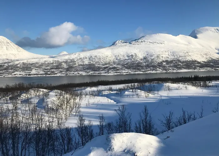 Paradis * Nord-Lenangen